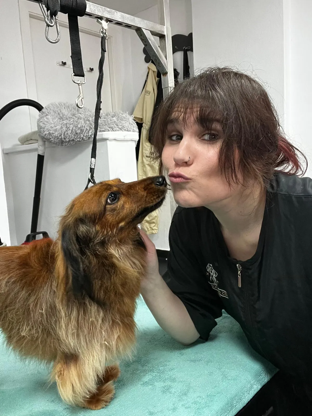 A groomer nuzzles a golden cockapoo on the grooming table