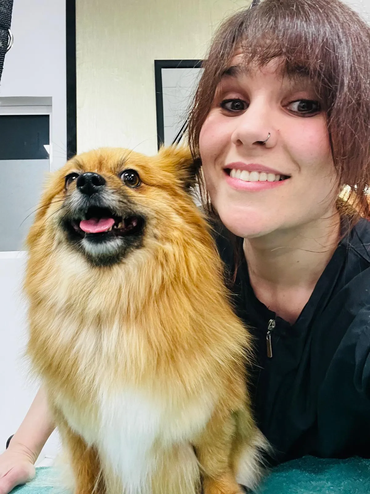 A groomer smiles with a fluffy apricot Pomeranian mix