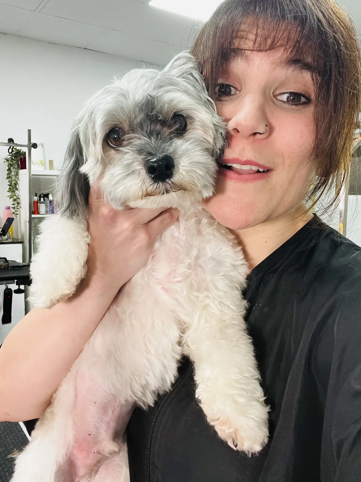 A groomer smiles cheek to cheek with a grey and white Shih Tzu mix