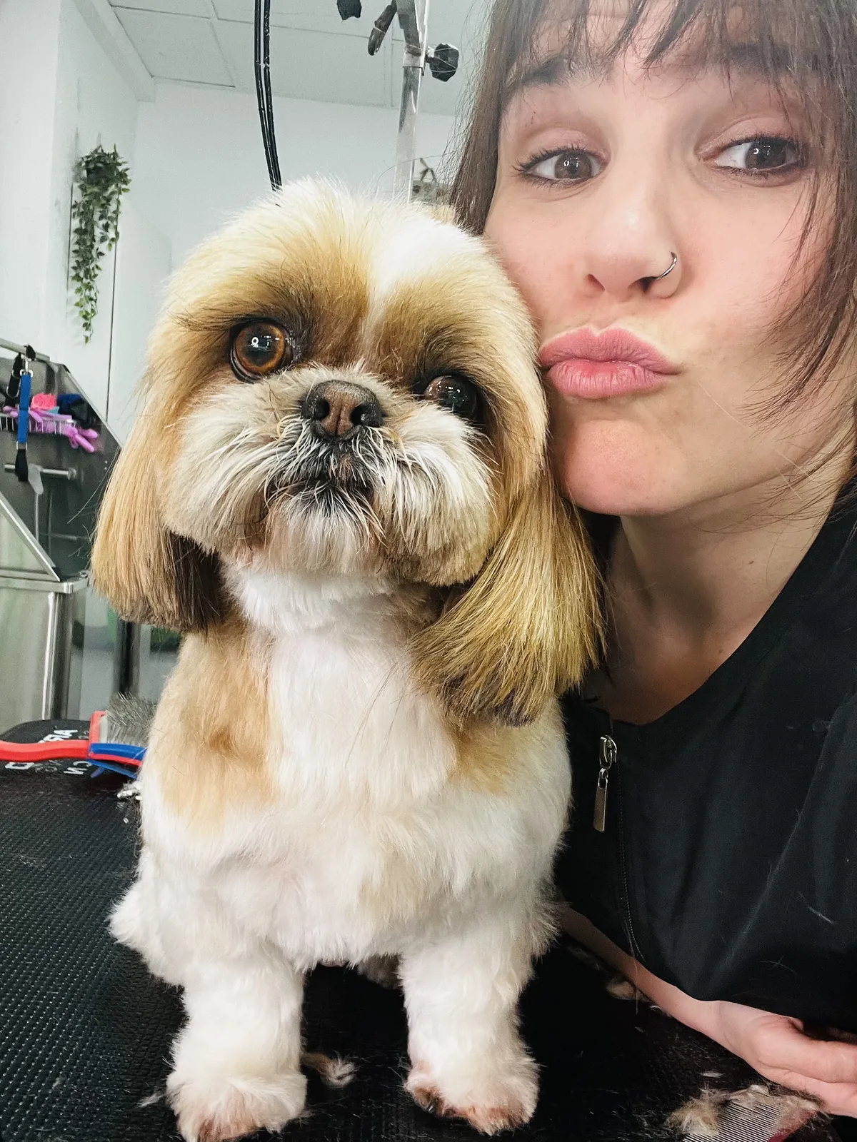 A groomer pulls a funny face next to a freshly groomed Shih Tzu