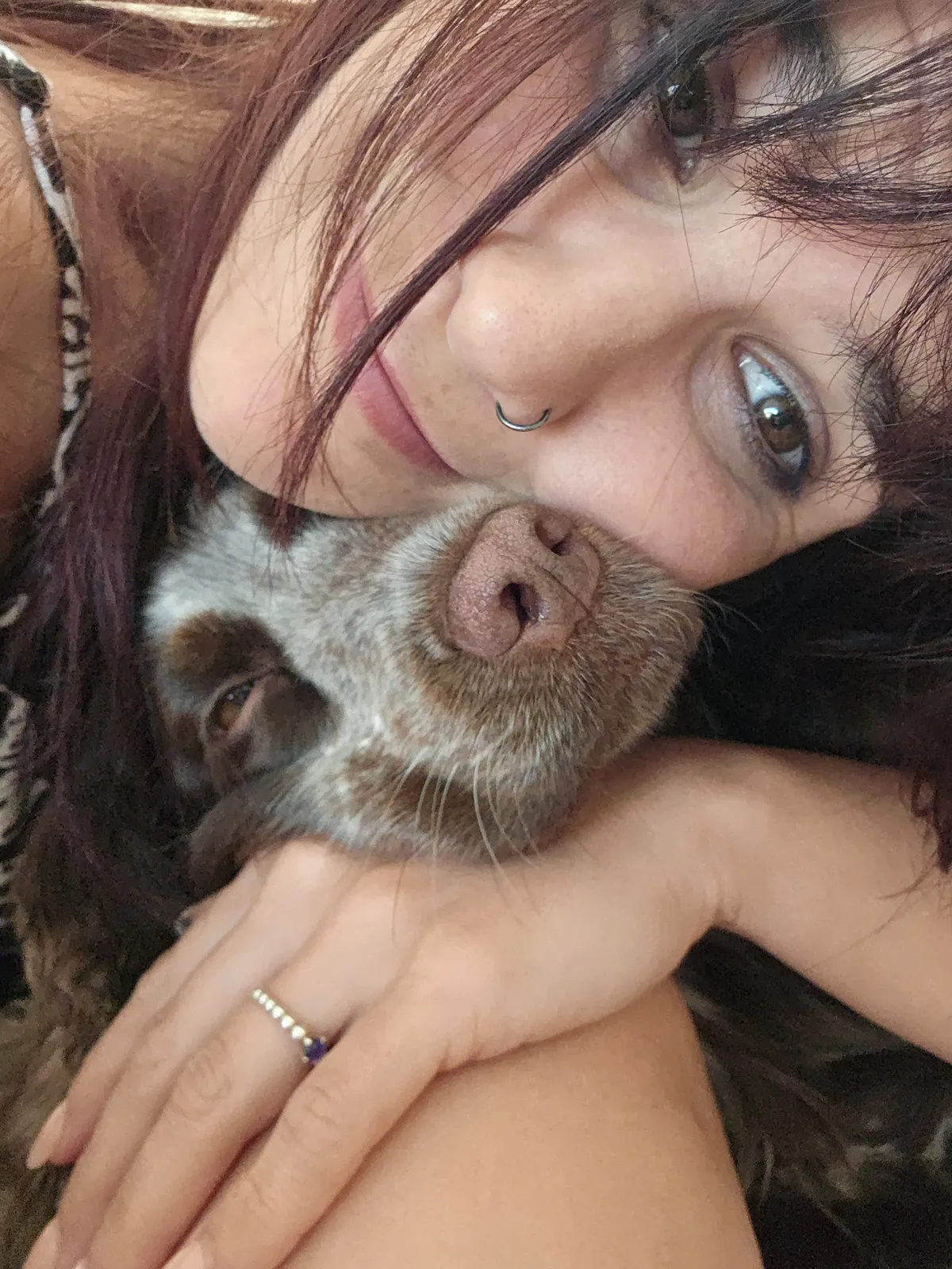A sitter cuddles a small grey puppy cheek to cheek