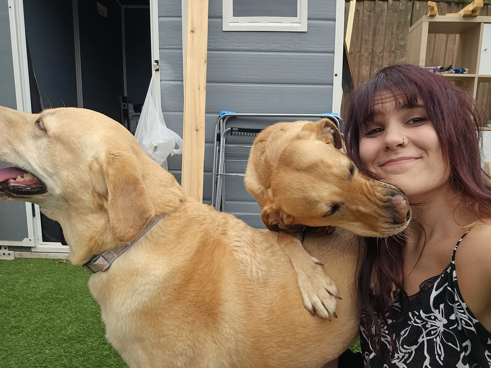 A Labrador rests its head on its sitter's shoulder outdoors