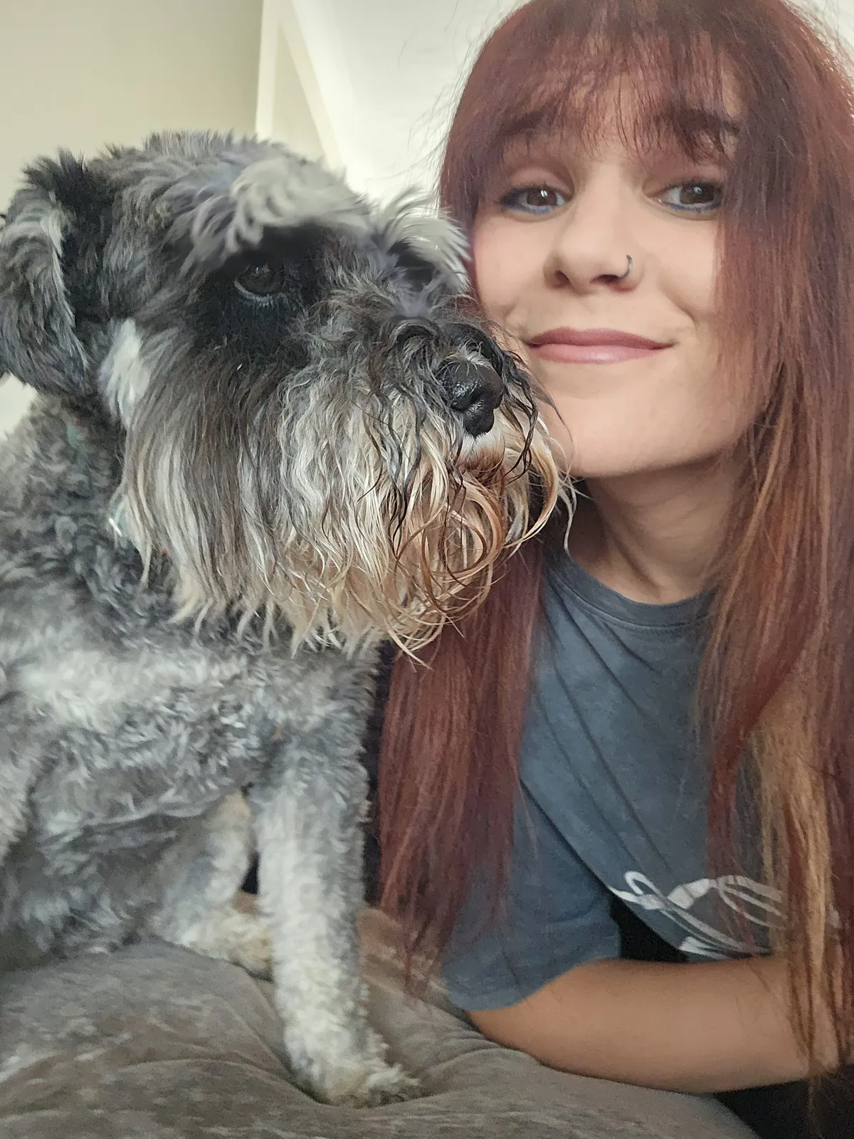 A sitter cuddles a grey Schnauzer cheek to cheek